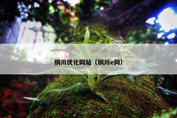 铜川优化网站（铜川e网）