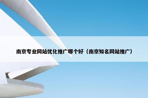 南京专业网站优化推广哪个好（南京知名网站推广）