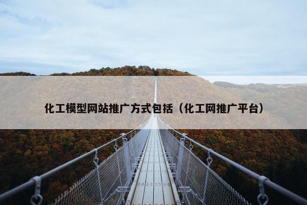 化工模型网站推广方式包括（化工网推广平台）