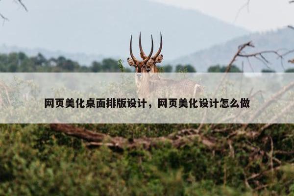 网页美化桌面排版设计，网页美化设计怎么做