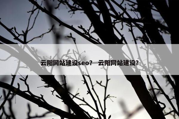云阳网站建设seo？ 云阳网站建设？