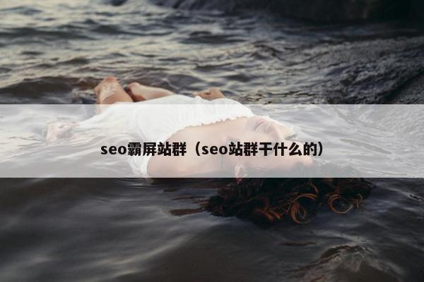 seo霸屏站群（seo站群干什么的）