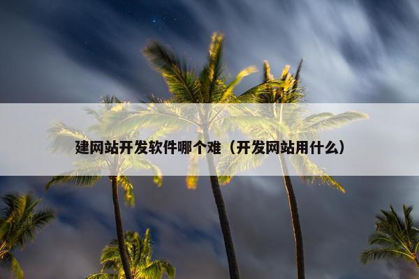 建网站开发软件哪个难（开发网站用什么）
