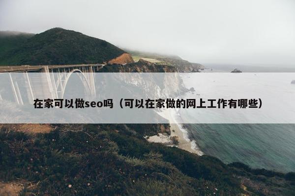 在家可以做seo吗（可以在家做的网上工作有哪些）