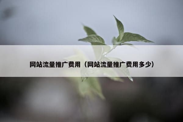 网站流量推广费用（网站流量推广费用多少）