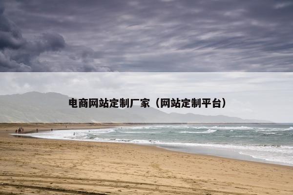 电商网站定制厂家（网站定制平台）