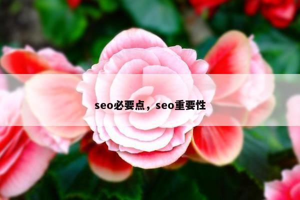 seo必要点，seo重要性