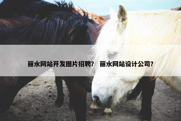 丽水网站开发图片招聘？ 丽水网站设计公司？