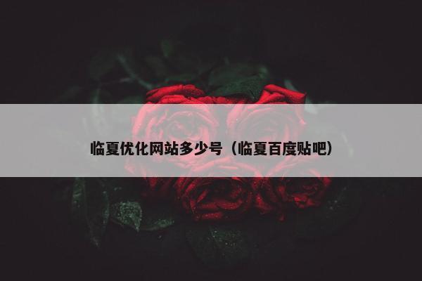 临夏优化网站多少号（临夏百度贴吧）