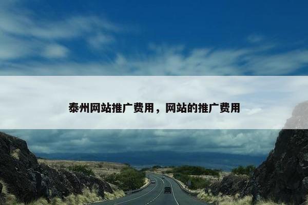 泰州网站推广费用，网站的推广费用