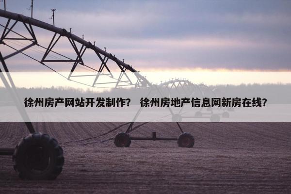 徐州房产网站开发制作？ 徐州房地产信息网新房在线？