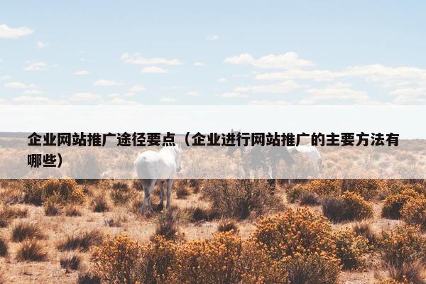 企业网站推广途径要点（企业进行网站推广的主要方法有哪些）
