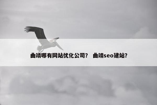 曲靖哪有网站优化公司？ 曲靖seo建站？