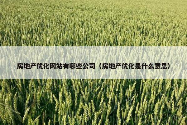 房地产优化网站有哪些公司（房地产优化是什么意思）