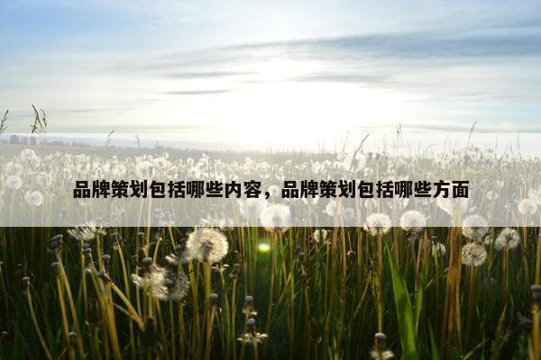 品牌策划包括哪些内容，品牌策划包括哪些方面