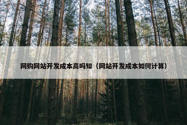 网购网站开发成本高吗知（网站开发成本如何计算）