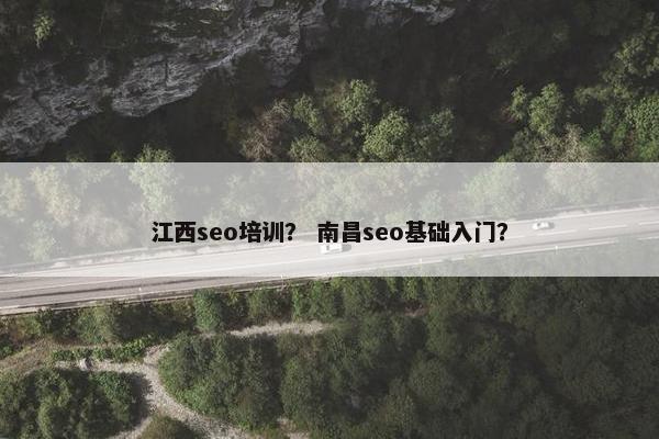 江西seo培训？ 南昌seo基础入门？