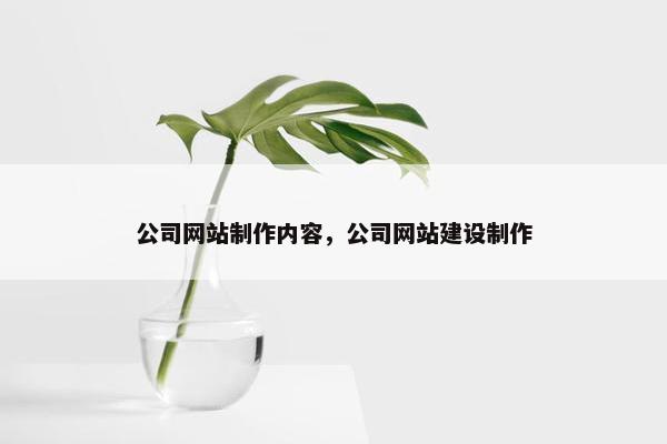 公司网站制作内容，公司网站建设制作
