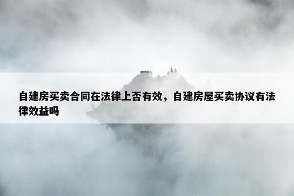 自建房买卖合同在法律上否有效，自建房屋买卖协议有法律效益吗