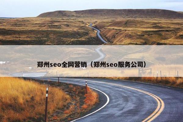 郑州seo全网营销（郑州seo服务公司）