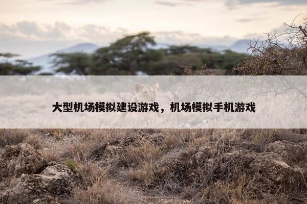 大型机场模拟建设游戏，机场模拟手机游戏