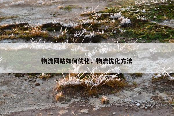 物流网站如何优化，物流优化方法