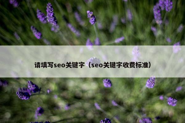 请填写seo关键字（seo关键字收费标准）