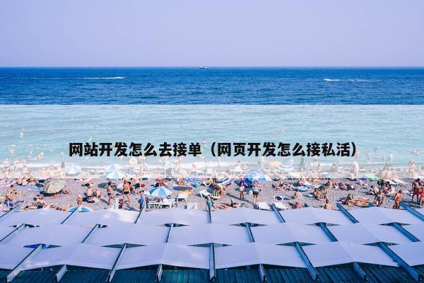 网站开发怎么去接单（网页开发怎么接私活）