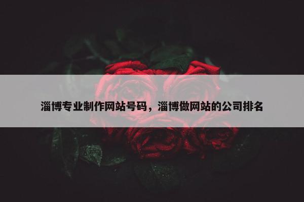淄博专业制作网站号码，淄博做网站的公司排名