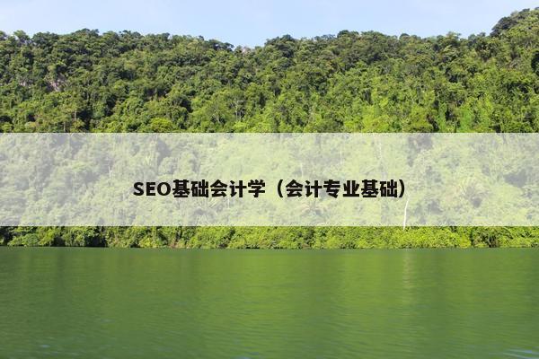 SEO基础会计学（会计专业基础）