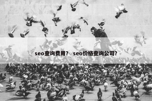 seo查询费用？ seo价格查询公司？