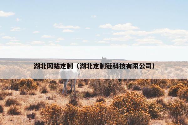 湖北网站定制（湖北定制链科技有限公司）