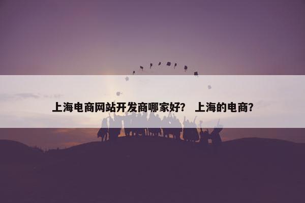 上海电商网站开发商哪家好？ 上海的电商？