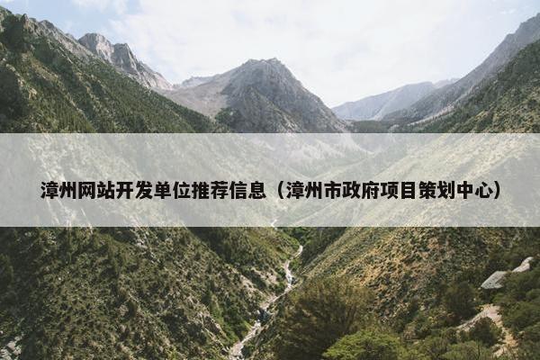 漳州网站开发单位推荐信息（漳州市政府项目策划中心）