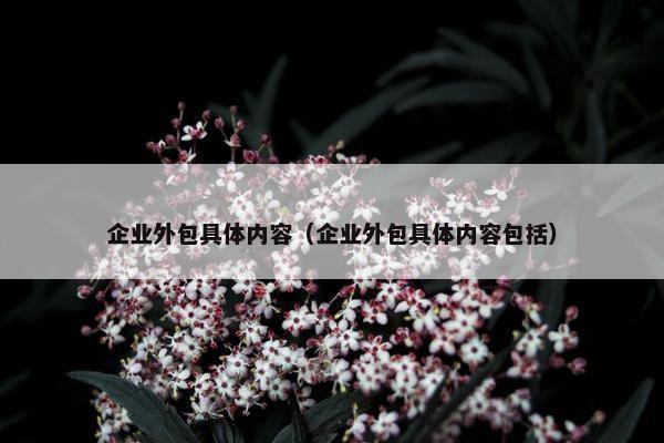 企业外包具体内容（企业外包具体内容包括）