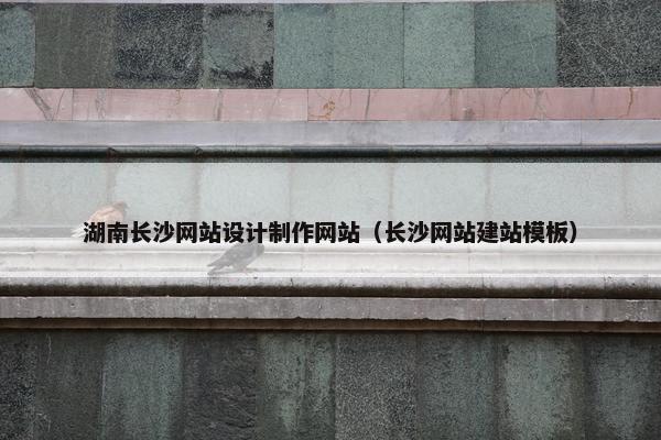 湖南长沙网站设计制作网站（长沙网站建站模板）