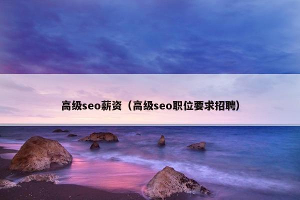 高级seo薪资（高级seo职位要求招聘）
