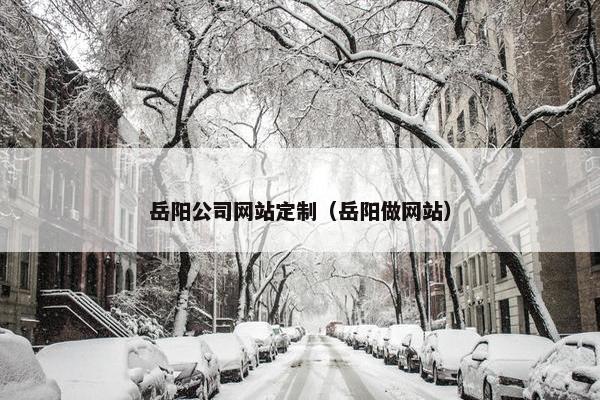 岳阳公司网站定制（岳阳做网站）