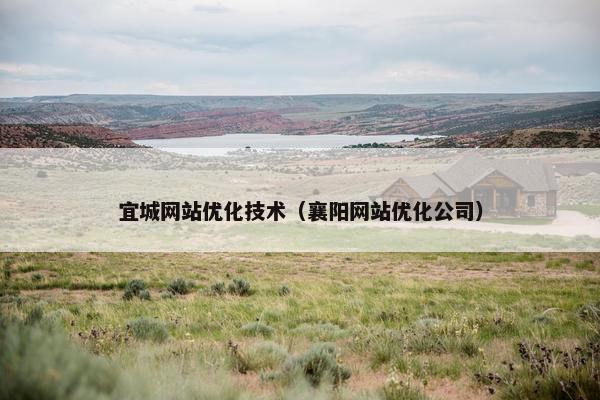 宜城网站优化技术（襄阳网站优化公司）