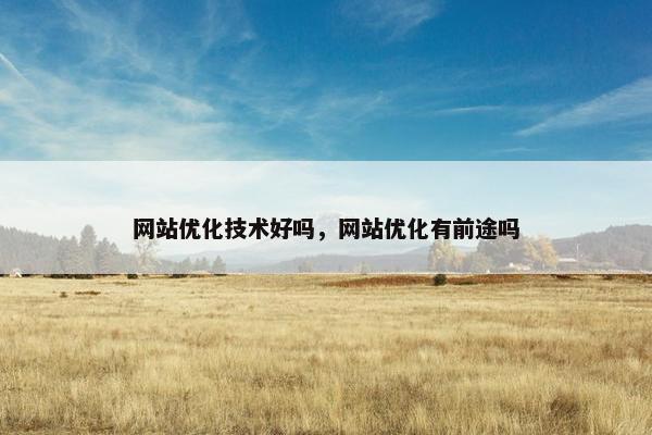 网站优化技术好吗，网站优化有前途吗