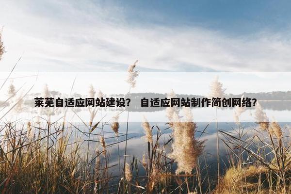莱芜自适应网站建设？ 自适应网站制作简创网络？