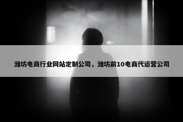 潍坊电商行业网站定制公司，潍坊前10电商代运营公司