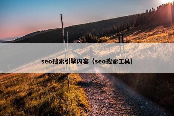 seo搜索引擎内容（seo搜索工具）