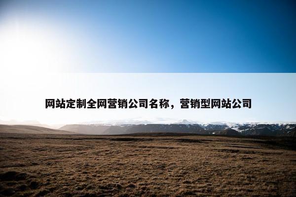 网站定制全网营销公司名称，营销型网站公司