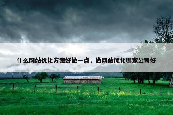 什么网站优化方案好做一点，做网站优化哪家公司好
