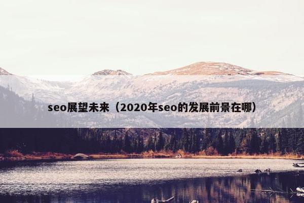 seo展望未来（2020年seo的发展前景在哪）