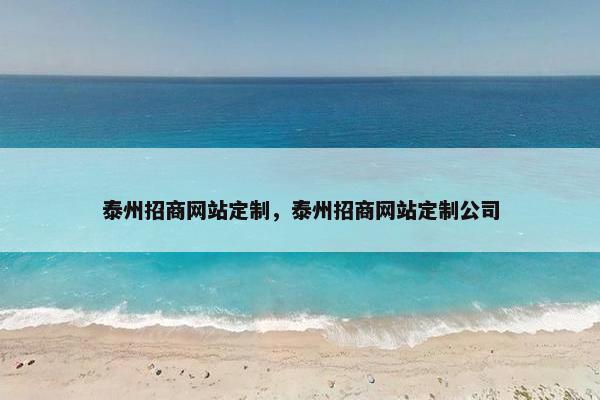 泰州招商网站定制，泰州招商网站定制公司