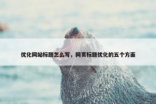 优化网站标题怎么写，网页标题优化的五个方面