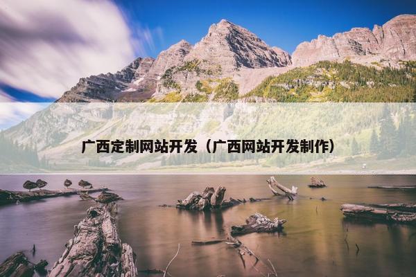 广西定制网站开发（广西网站开发制作）
