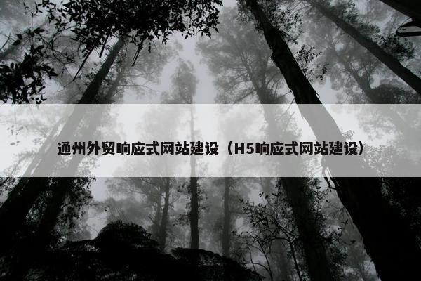 通州外贸响应式网站建设（H5响应式网站建设）